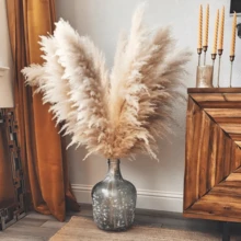 10/15/20 Bunches 39 Inch Tall Fluffy Natural Pampas Grass Bundles - Bohemian Farmhouse Wedding Arch & Home Decor, Christmas/Valentine's DIY Vase Filler, Living Room/Bedroom/Party Decoration, Floral Arrangement, Gift Wrapping, Shedless (Container Not Included) - Multicolor - View 4