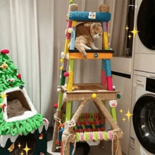 1 Peça, Capa de Corda para Estrutura de Escalada de Gato DIY, Múltiplas Cores para Escolher, Anti-Mordida, Corda Colorida, Adequado para Brinquedos de Estimação e Decoração Artesanal, Material Criativo Antiderrapante para Casa, Instalação Reforçada e Sem Ferramentas, Ferramenta de Moagem de Pata de Gato