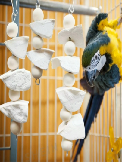 1 pieza Juguete para masticar para loros con hueso de sepia y cuentas de madera, accesorio decorativo colgante adecuado para aves, para todo el año, juguete navideño para pájaros