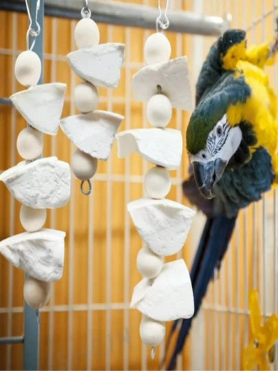 1pc Cuttlebone & Wooden Bead Parrot Chew Toy, Hanging Decor Accessory Suitable For Birds, All Season, Christmas Bird Toy