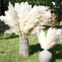 10/15/20 Bunches 39 Inch Tall Fluffy Natural Pampas Grass Bundles - Bohemian Farmhouse Wedding Arch & Home Decor, Christmas/Valentine's DIY Vase Filler, Living Room/Bedroom/Party Decoration, Floral Arrangement, Gift Wrapping, Shedless (Container Not Included) - Multicolor - View 12