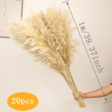 10/15/20 Bunches 39 Inch Tall Fluffy Natural Pampas Grass Bundles - Bohemian Farmhouse Wedding Arch & Home Decor, Christmas/Valentine's DIY Vase Filler, Living Room/Bedroom/Party Decoration, Floral Arrangement, Gift Wrapping, Shedless (Container Not Included) - Multicolor - View 13