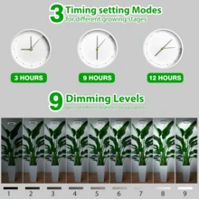 Adjustable Height Indoor Plant Growth Light With Auto Timer, USB Powered, Full Spectrum, 5V Low Voltage, Home Use - Black and White - View 6