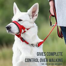 Adjustable Dog Muzzle, Anti-Bite Anti-Swallow Anti-Lick, Pet Muzzle, Training Leash Set, Suitable For Small And Large Dogs, And Comfortable Breathable
