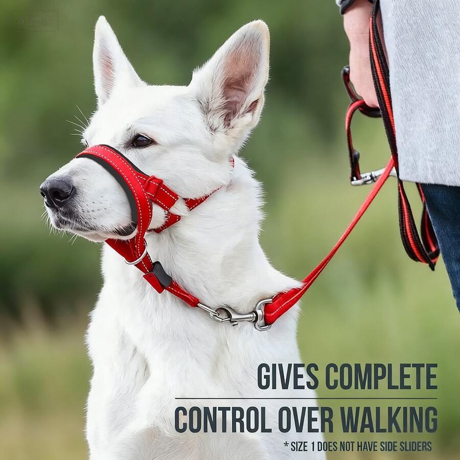 Adjustable Dog Muzzle, Anti-Bite Anti-Swallow Anti-Lick, Pet Muzzle, Training Leash Set, Suitable For Small And Large Dogs, And Comfortable Breathable