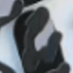 Black Leopard Print