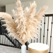10/15/20 Bunches 39 Inch Tall Fluffy Natural Pampas Grass Bundles - Bohemian Farmhouse Wedding Arch & Home Decor, Christmas/Valentine's DIY Vase Filler, Living Room/Bedroom/Party Decoration, Floral Arrangement, Gift Wrapping, Shedless (Container Not Included) - Multicolor - View 9