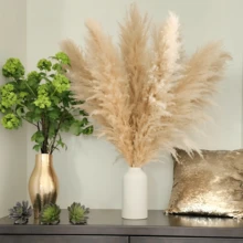 10/15/20 Bunches 39 Inch Tall Fluffy Natural Pampas Grass Bundles - Bohemian Farmhouse Wedding Arch & Home Decor, Christmas/Valentine's DIY Vase Filler, Living Room/Bedroom/Party Decoration, Floral Arrangement, Gift Wrapping, Shedless (Container Not Included) - Multicolor - View 5