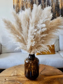 10/15/20 Bunches 39 Inch Tall Fluffy Natural Pampas Grass Bundles - Bohemian Farmhouse Wedding Arch & Home Decor, Christmas/Valentine's DIY Vase Filler, Living Room/Bedroom/Party Decoration, Floral Arrangement, Gift Wrapping, Shedless (Container Not Included) - Multicolor - View 6