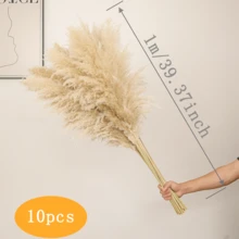 10/15/20 Bunches 39 Inch Tall Fluffy Natural Pampas Grass Bundles - Bohemian Farmhouse Wedding Arch & Home Decor, Christmas/Valentine's DIY Vase Filler, Living Room/Bedroom/Party Decoration, Floral Arrangement, Gift Wrapping, Shedless (Container Not Included) - Multicolor - View 17