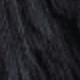 الأسود