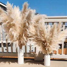10/15/20 Bunches 39 Inch Tall Fluffy Natural Pampas Grass Bundles - Bohemian Farmhouse Wedding Arch & Home Decor, Christmas/Valentine's DIY Vase Filler, Living Room/Bedroom/Party Decoration, Floral Arrangement, Gift Wrapping, Shedless (Container Not Included) - Multicolor - View 10