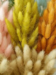 30/60 Pcs Pampas Dried Flowers, Dried Pampas Grass Feathers Decoration, Natural Dried Flowers, Reed Flower Stems Bundle, Natural Dried Pampas Grass Branches, Gorgeous Flowers, Fluffy Dried Plants, Vase Fillers, Decorate Home, Kitchen, Garden Party, Photoshoot, Flower Arrangement, Vase Decoration, Suitable For Kitchen, Home, Boho Decoration,Room Decor,Christmas,Christmas Decoration - Primary Color - View 11