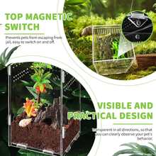 1pc Transparent Acrylic Reptile Feeding Box, Acrylic Reptile Container Shell, Insect Breeding Box Reptile Habitat Container, Suitable For Invertebrates, Ants, Spiders, Crickets, Scorpions, Lizards, Geckos