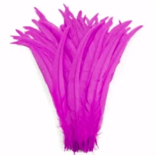 100 pièces Plumes de coq - Longues de 25-35 cm, plumes de queue de coq colorées mélangées, convenant pour la décoration de mariage, les coiffures, les mascarades, l'artisanat, les projets DIY, les éléments de coiffe, les accessoires de costume, les plumes décoratives, les plumes d'artisanat de haute qualité, l'artisanat fait main pour les fêtes, la décoration d'événements
