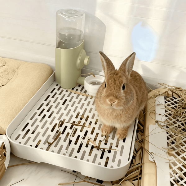 1 pieza Caja de para mascotas cuadrada de material PP de doble capa con orificio de drenaje, extraíble y lavable, adecuada para conejos, cobayas y otras mascotas pequeñas, para uso en todas las estaciones