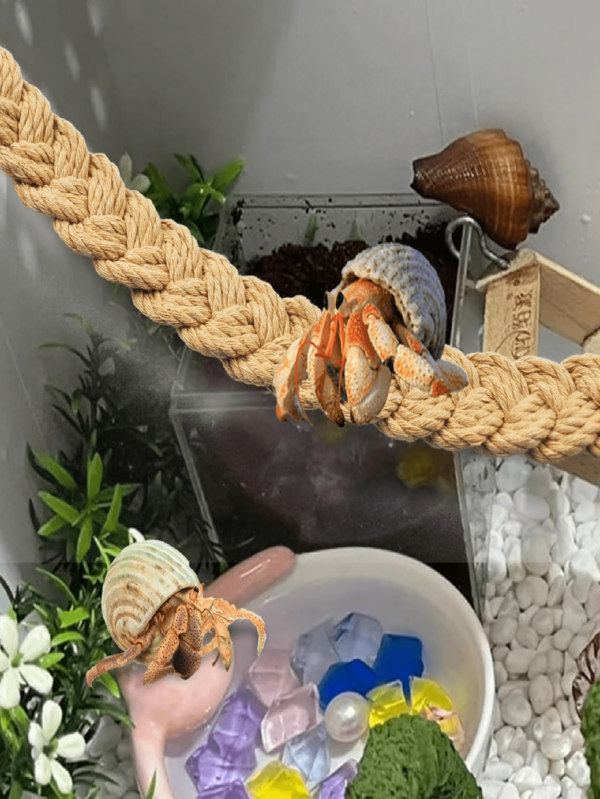 1-Piece Set Of Climbing Pet Toys, Swing, Braided Rope, Hermit Crab Climbing Toys, Hermit Crab Rope Ladder, Decorative Reptile Hanging Vine Toys, Hermit Crab Supplies, Reptile Habitat Jar, Glass Container Accessories, Lizard, Leopard, Gecko, Tree Frog