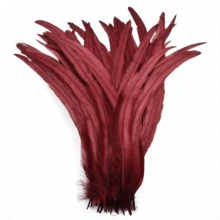 100 pièces Plumes de coq - Longues de 25-35 cm, plumes de queue de coq colorées mélangées, convenant pour la décoration de mariage, les coiffures, les mascarades, l'artisanat, les projets DIY, les éléments de coiffe, les accessoires de costume, les plumes décoratives, les plumes d'artisanat de haute qualité, l'artisanat fait main pour les fêtes, la décoration d'événements