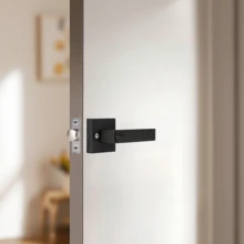 Deadbolts - Plata - View 1