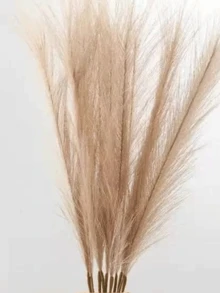 O vază cu design artistic, în formă de femeie cu mâinile care îi cuprind fața. Este simplă, dar elegantă, cu un design unic și fermecător în formă de față cu mâinile. Ideală pentru aranjarea florilor proaspete sau artificiale și poate fi folosită și pentru depozitarea cosmeticelor. Potrivită pentru decorarea camerelor de zi și a dormitoarelor pe tot parcursul anului, un element indispensabil pentru decorul zilnic al casei.