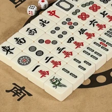 迷你麻将游戏套装，优雅的蛇皮盒，便携式旅行麻将，适合旅游和家庭娱乐，适合作为生日礼物，新年礼物，情人节游戏和礼物 - 白色 - 查看 9