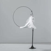 Varinha de Brinquedo para Gatos com Plumas, Interativo, Flexível, Ideal para Exercício e Caça - Branco - Visão 7