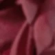 Burgundi
