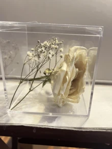 Cajas de almacenamiento cuadradas transparentes con tapa de cinta - Perfectas para decoraciones de cumpleaños, bodas, exhibición de joyería pequeña, caja de plástico transparente para organizar