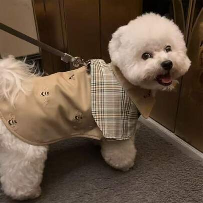1pc Pet Autumn/Winter Fashionable Windproof Cloak Cape Coat, Dog/Cat Clothes For Poodle, Bichon Frise, Schnauzer Gentleman Outfit