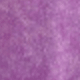 Màu Lilac Tím