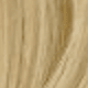 Beige Blonde Mixed