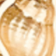黃色