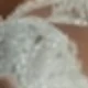 Nhiều màu