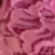 紫色