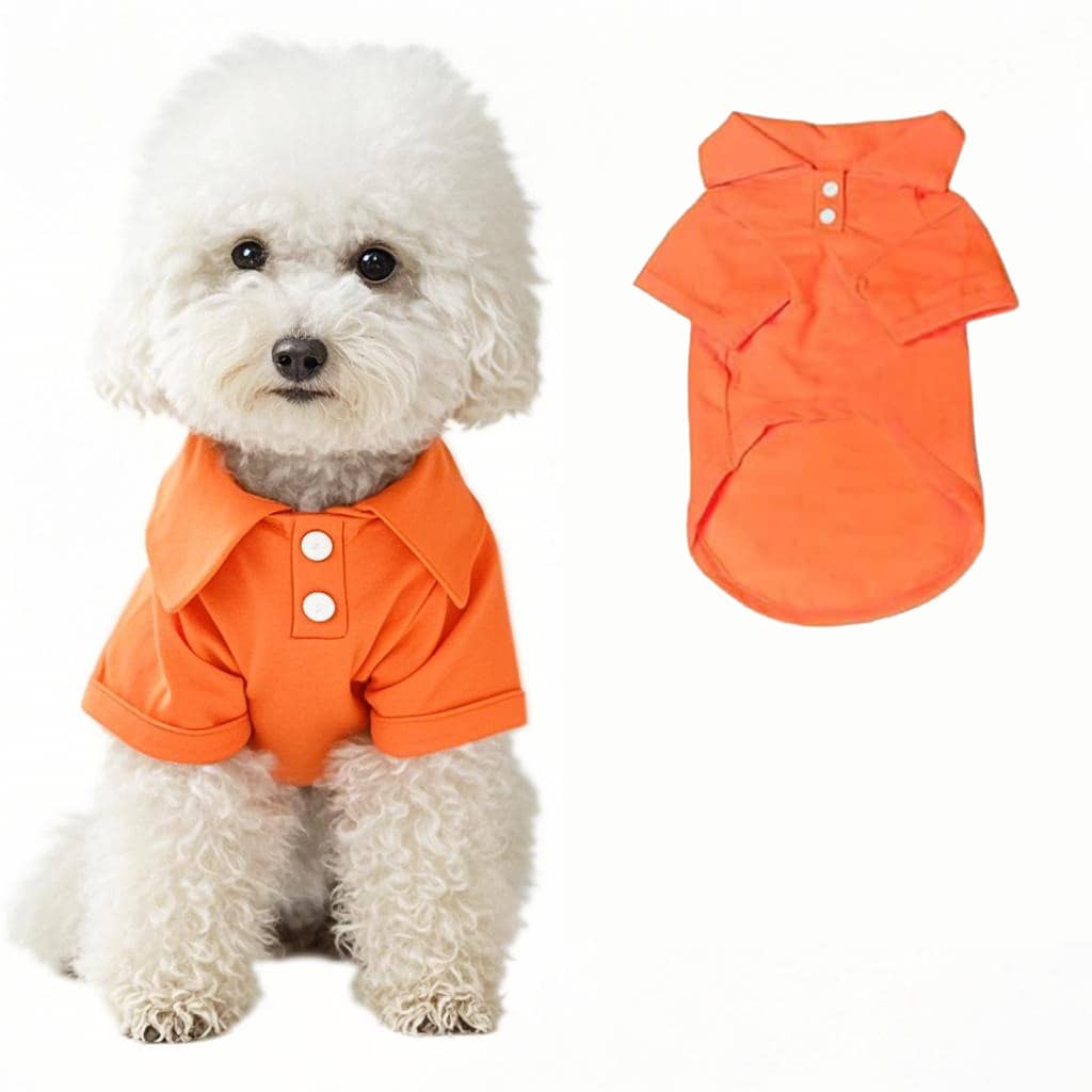 1 件狗狗 T 恤，透气宠物衬衫，小狗运动衫狗狗衣服服装外套小型犬宠物服装 POLO 衫 - 橘色 - 查看 1