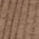بني