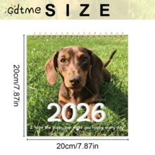 GDTME [ Cute! ] Pearl Paper Sausage Dog Calendar Hanging Calendar, Gold Iron Ring 20 * 20cm Healing Desktop Ornament, Creative Home Good Item: Various Cute Short Leg Sausage Dog Photos In The Calendar, Make Your Living Room Wall Instantly Adorable! Advanced Pearl Material, Happy Every Day, Easy Calendar Hanging To Accompany You To Welcome The New Year! 2026 Calendar