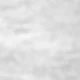 White Grey
