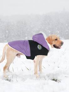 1 件中大型犬厚外套紫色雪地夹克防风保暖舒适狗狗外套魔术贴幼犬冬季服装适合法国斗牛犬拉布拉多罗威纳犬