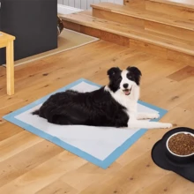 Pet Urine Pads/Diapers - Azul - Ver 10