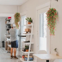 Simulation Eucalyptus Eucalyptus Camellia Rattan Wall Hanging Simulation Green Plant Money Lotus Leaf Vine Indoor And Outdoor Decorations - 紅色 - 查看 3