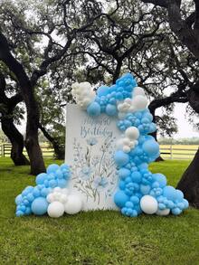 160pcs Blue & White 5/10/12 Inch Latex Balloon Set