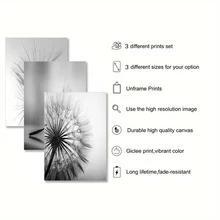 3pcs Unframed Modern Elegant Black&White Dandelion Flower Canvas Poster, Waterproof Canvas Wall Art, Aesthetic Room Decor, Artwork Wall Painting For Gift, Wall Picture For Living Room, Bedroom, Dining Room, Dorm, Home And Office Wall Decor