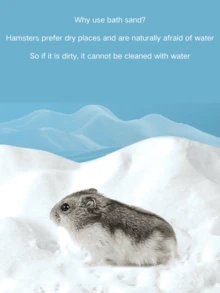 1 Bag 500g Small Pet Hamster Bath Sand, Soft & Hamster Bathing Supplies - White - View 5