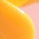 彩色