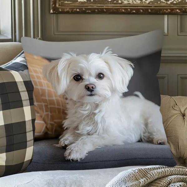 1 pieza Funda de almohada decorativa con perro Maltés lindo, funda de cojín de estilo vintage, tela de poliéster suave y cómoda, 45x45cm, cierre con cremallera, lavable a máquina, adecuado para decoración del hogar, fiesta de vacaciones, sofá, dormitorio, oficina, coche, etc.