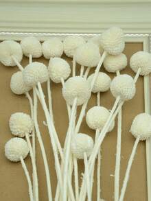 10pcs/20pcs Natural Dried Craspedia (Billy Balls), Yellow Flowers, Suitable For Floral Arrangements, Weddings, Home Decor, Can Be Placed In Tall Vases - White - View 3