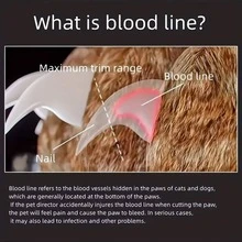 1 Pet Nail Clipper With LED Light, Stainless Steel Non-Slip Silicone Handle, Leakproof, For Dog Cat Grooming And Cleaning Tool