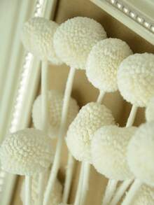 10pcs/20pcs Natural Dried Craspedia (Billy Balls), Yellow Flowers, Suitable For Floral Arrangements, Weddings, Home Decor, Can Be Placed In Tall Vases - White - View 2