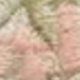 彩色